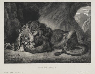 Lion de l