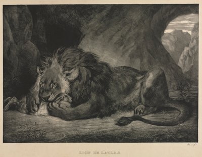 Lion de l