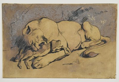 Lionne dévorant un lapin - Ferdinand Victor Eugene Delacroix