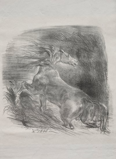 Le Cheval Sauvage, ou Cheval Effrayé Quitte l