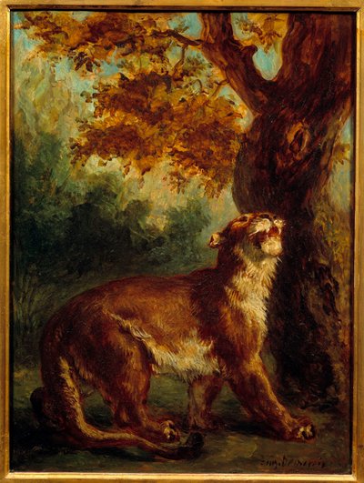 Le couguar aussi appelé lionne guettant une proie - Ferdinand Victor Eugene Delacroix