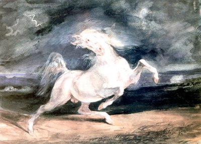 Cheval blanc, XIXe siècle - Ferdinand Victor Eugene Delacroix