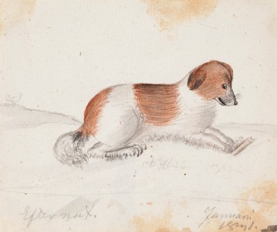 Chien - Ferdinand von Wright