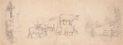 Diverses esquisses de vaches et de taureaux - Ferdinand von Wright