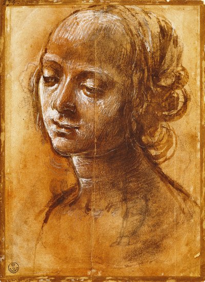 Figure féminine, par Filippino Lippi - Filippino Lippi