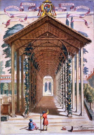 Une allée couverte de treillis, de 