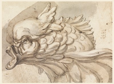 Dessin, Tête de dauphin, vers 1775 - Filippo Marchionni