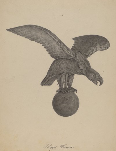Aigle - Filippo Porreca