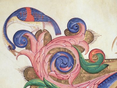 Missel 515 f.169r Oiseau fantastique regardant autour du feuillage (détail d