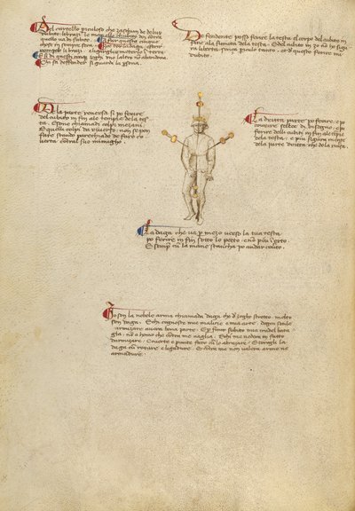 Points de visée sur le corps - Fiore Furlan dei Liberi da Premariacco