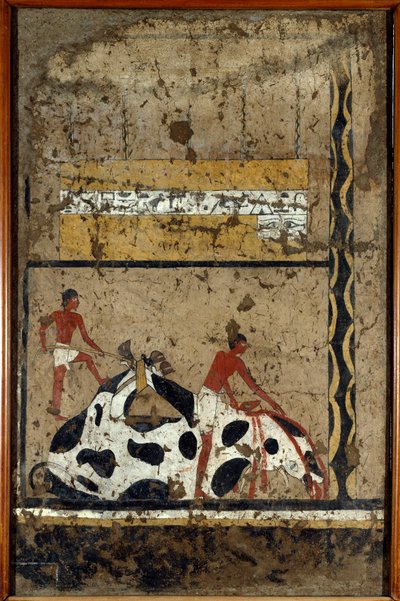 Antiquités égyptiennes : un taureau est sacrifié devant un sarcophage. Détrempe sur argile et paille de la tombe du Général et Chancelier du Roi Iti à El Ghebelen près de Louxor. 2200-2000 av. J.-C. Turin, musée égyptien - First Intermediate Period Egyptian