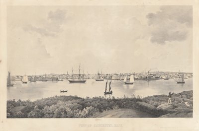Vue de Gloucester, Mass. - Fitz Henry Lane