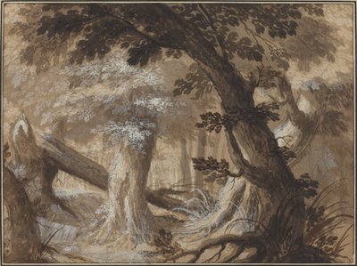 Intérieur de forêt - Flemish 17th Century