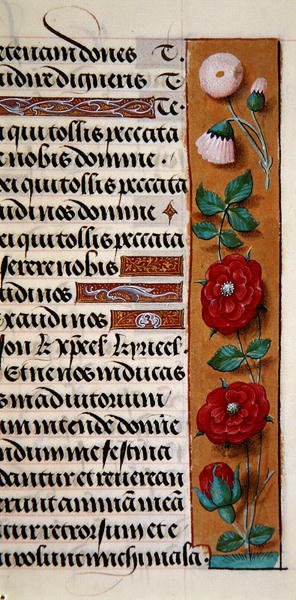 Ms. 1058-1975, f.120r: (détail) d