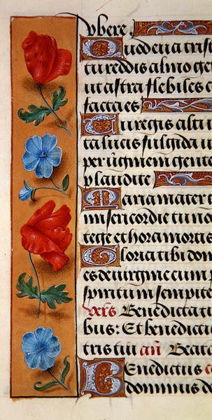 Ms. 1058-1975, f.16r : (détail) - Flemish School