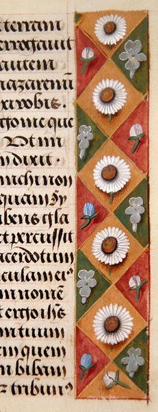 Ms. 1058-1975, f.16r : (détail) - Flemish School