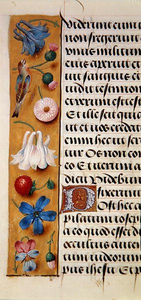 Ms. 1058-1975, f.22v: (détail) d