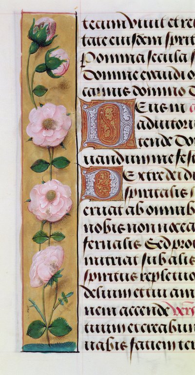 Ms. 1058-1975, f.34v : détail d