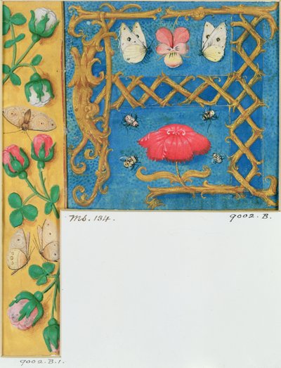 Ms 134 Lettre illuminée `A et bordure latérale de fleurs, d