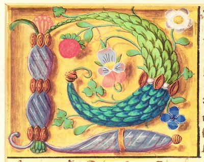 Ms 134 Lettre illuminée `P décorée de fleurs, d
