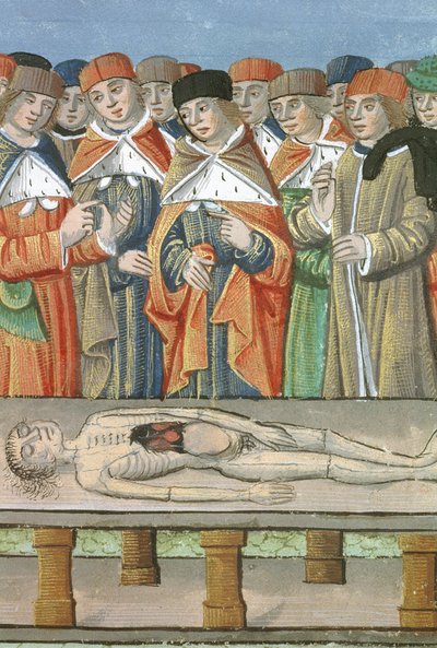 Dissection, de De Medina Fen I. II, par Avicenne - Flemish School