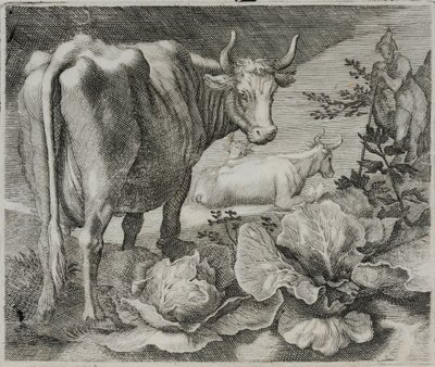 Gravure de maître ancien - Flemish School