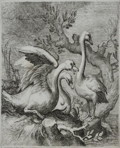 Gravure de maître ancien - Flemish School