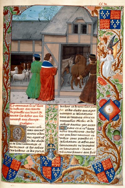 Royal 14 E. VI, f.215, Auteur avec chevaux et moutons, de 