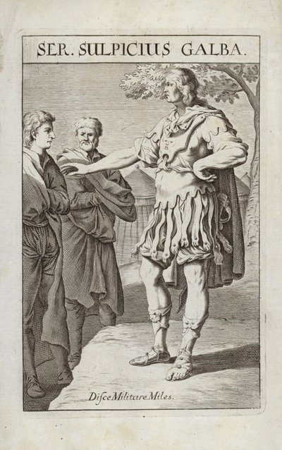 Ser Sulpicius Galba - Flemish School
