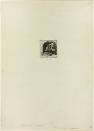 Maraîcher flamand - Félicien Rops