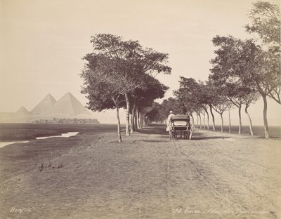 Caire. Allée de Pyramides - Félix Bonfils