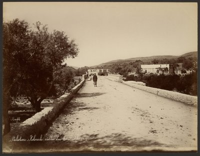 Palestine - Kolonick, vallée du Térébinthe - Félix Bonfils