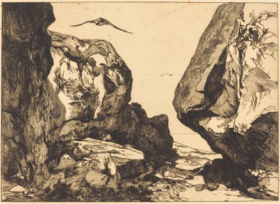 Gorge dans les rochers - Félix Bracquemond after Jules Laurens