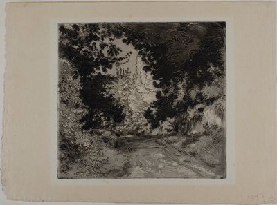 Le Chemin de Coutures, à Sèvres - Félix Henri Bracquemond