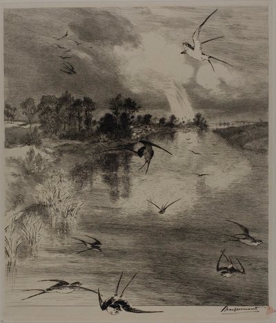 Hirondelles - Félix Henri Bracquemond