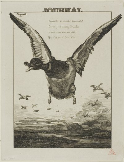 Le canard - Félix Henri Bracquemond