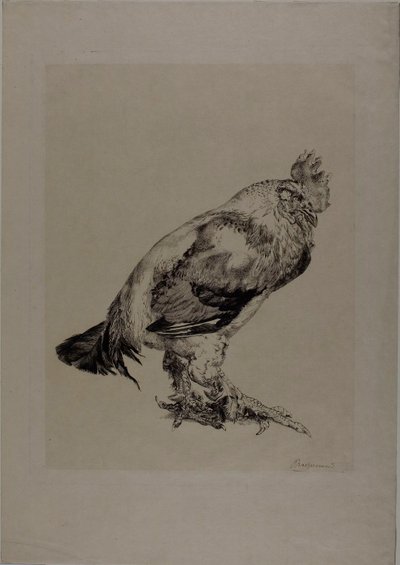 La vieille bite - Félix Henri Bracquemond