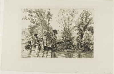 Les saules de Mottiaux - Félix Henri Bracquemond