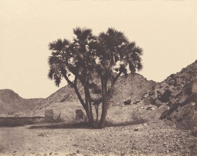 Égypte et Nubie. Sites et Monuments...Atlas Photographe...Deuxième Partie. Nubie - Félix Teynard