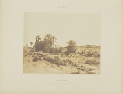 Karnak (Thèbes). Avenue des Sphinx - Vue Générale prise du Point G - Félix Teynard