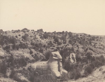 Karnak Thèbes, Sphinx à tête humaine et à tête de bélier, en Y, 1851-52, imprimé 1853-54 - Félix Teynard