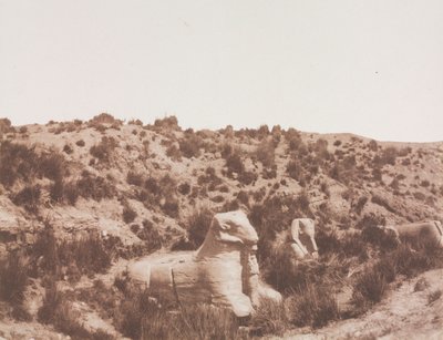 Sphinx à tête humaine et à tête de bélier au point Y. Karnak (Thèbes) - Félix Teynard
