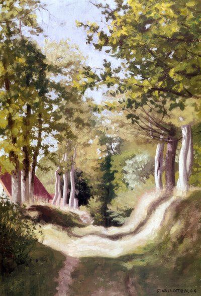 Sous-bois - Félix Vallotton