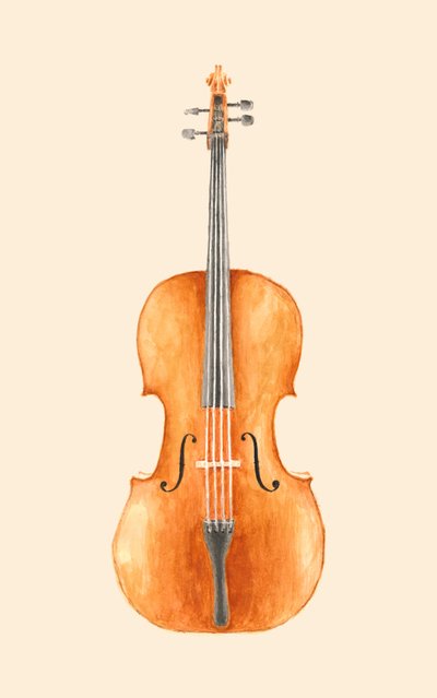 Violoncelle - Florent Bodart