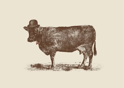 Noix de vache - Florent Bodart