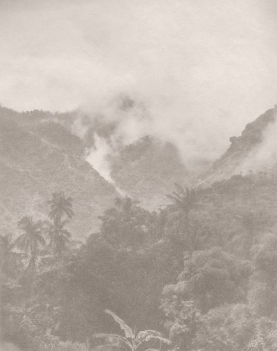 Jungle brumeuse 3, 2024 - Florent Bodart