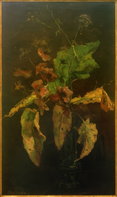Anémones et feuilles - Floris Verster
