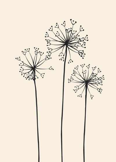 Fleurs de pissenlit minimalistes - Flow Line
