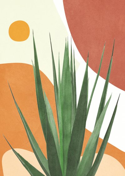 Agave du désert moderne - Flow Line
