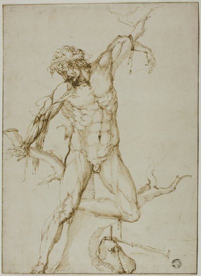 Marsyas attaché à un arbre - Follower of Baccio Bandinelli
